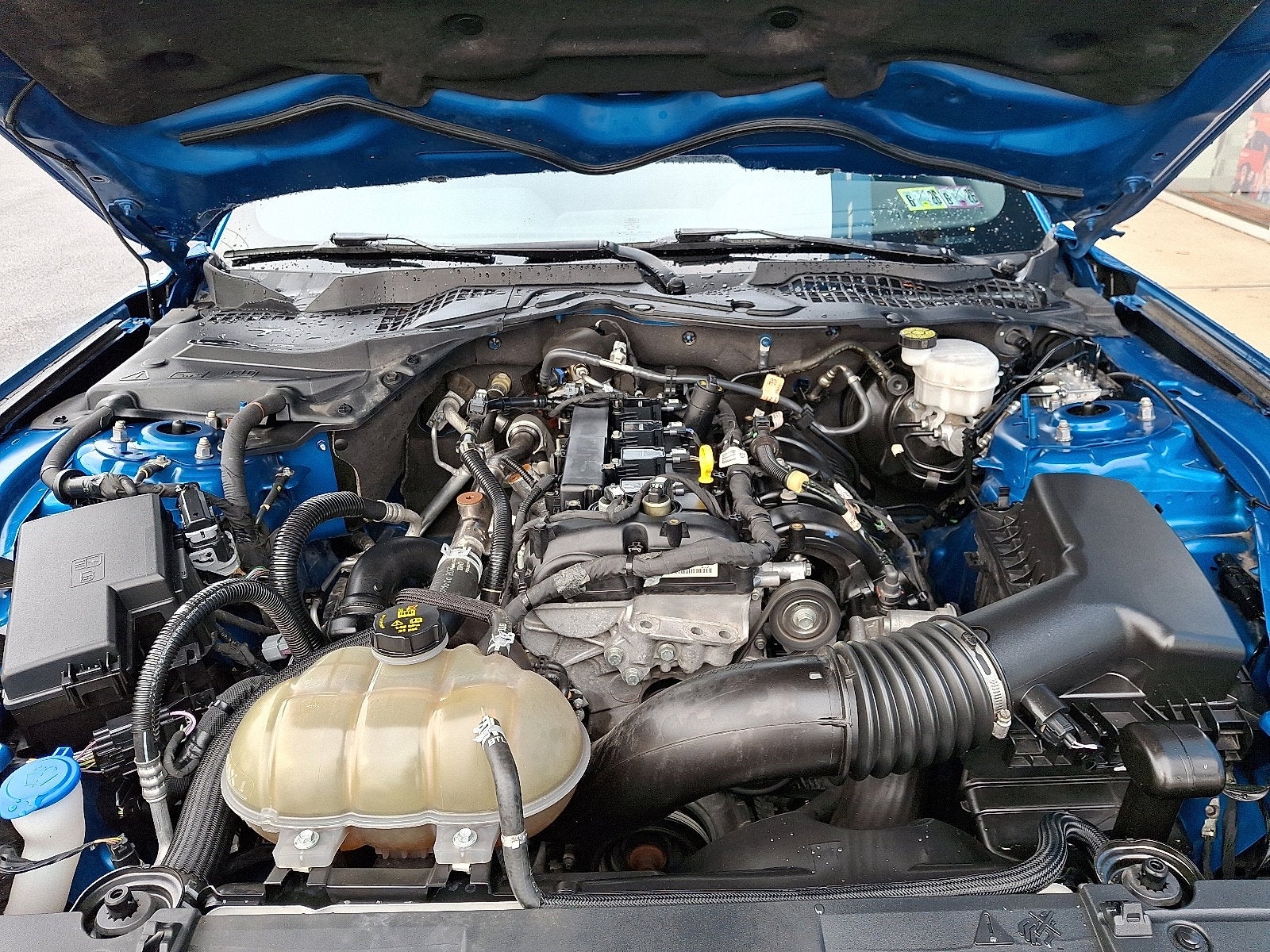 2021 Ford Mustang EcoBoost