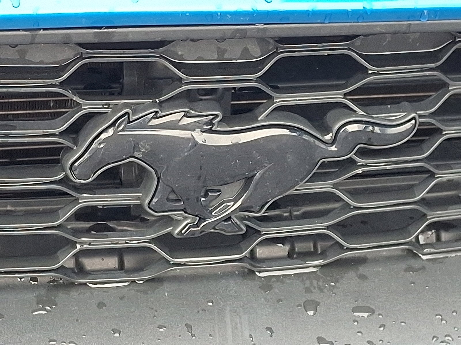 2021 Ford Mustang EcoBoost