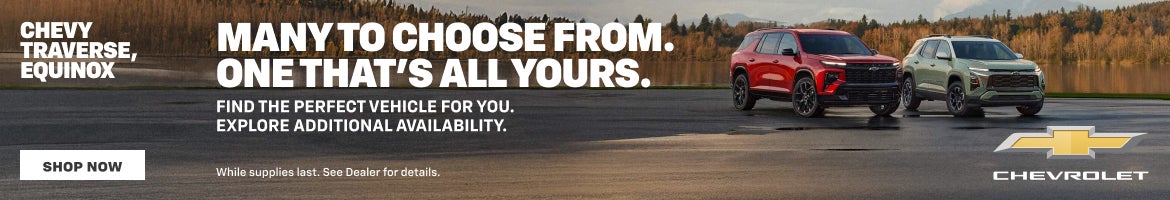 Chevy Traverse, Equinox. Many to Choose From. One that